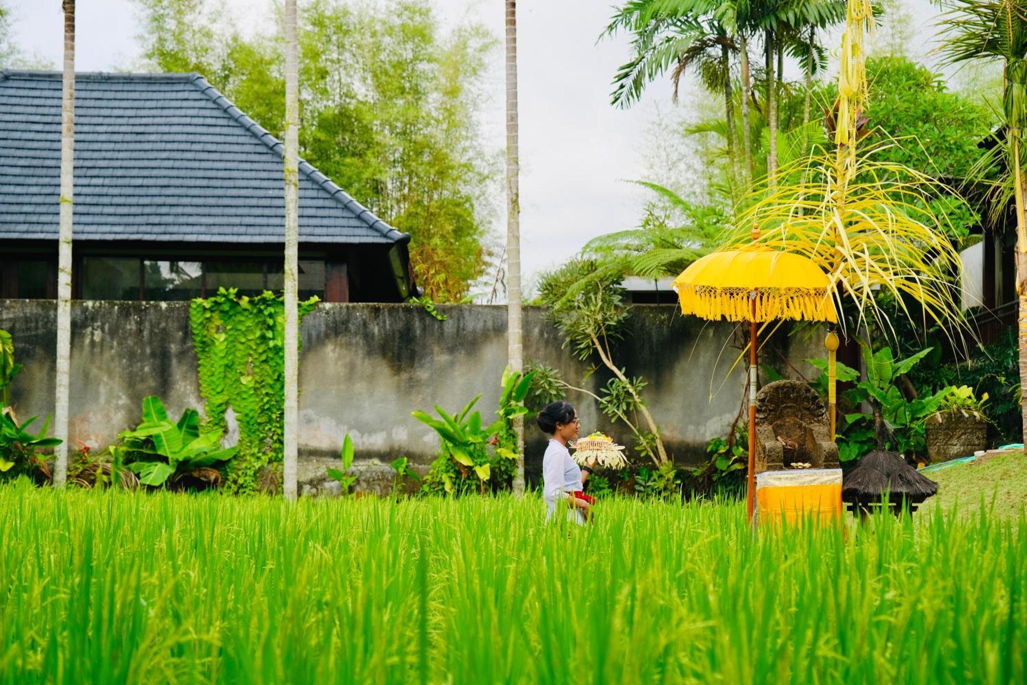 Wana Karsa The Villas Ubud Esterno foto